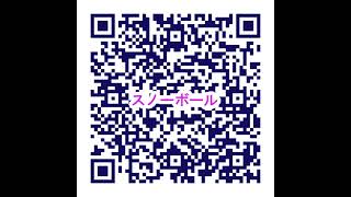 2025.01.26　白色の北アフリカ産キク科スノーボールの花咲きにけり　清潔誠実愛の輪廻転生