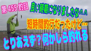 釣り動画ロマンを求めて 455釣目