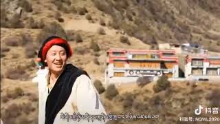 Tibet dance 2023 བར་ཁམས་རོང་པོ་།