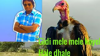 Gidi mele mele koyel Hale dhale santali gayan video 2020