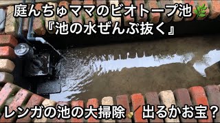 手作り池の『池の水ぜんぶ抜く』小さなお宝GET。レンガの池をリフレッシュして湧水を掛け流す🌿