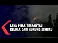 Gunung Semeru Masih Mengeluarkan Lava Pijar dan Asap Putih