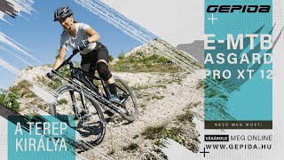 Gepida MTB Asgard Pro XT12