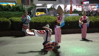 阿波踊り 飛舞枝　～2018.8.18　東村山久米川阿波踊り2018～