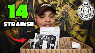 HUGE CBD Flower Haul from Neverwinter Botanicals | CBD Hemp Flower Review