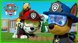 《汪汪队立大功》之终极救援，团队作战！- PAW Patrol 汪汪隊立大功 - 兒童卡通