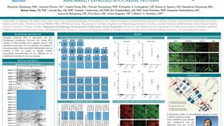 SwissCardio - An autoantibody profile detects Brugada syndrome