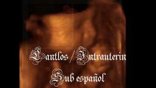 Lantlos- intrauterin  sub español