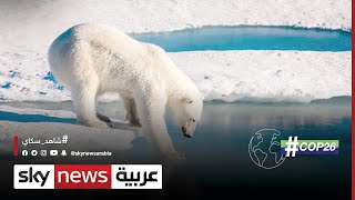 خبراء يحذرون من الآثار الخطيرة للتغير المناخي على روسيا  | #COP26