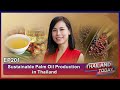 Thailand Today2021 EP201 : Sustainable Palm Oil Production in Thailand : Kanokwan Saswattecha