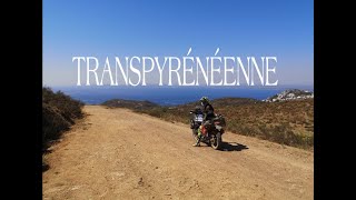 Transpyrénéenne