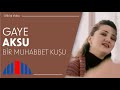 Gaye Aksu - Bir Muhabbet Kuşu (Official Video)