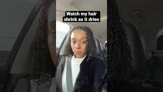 Hair shrinkage #hairhealth #hairgrowth #shrinkage #washandgo #curlyhair #coilyhair #naturalhair