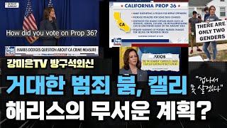 범죄 소굴 캘리포니아.  해리스가 만들고 트럼프가 청소한다  [강미은TV 방구석외신]