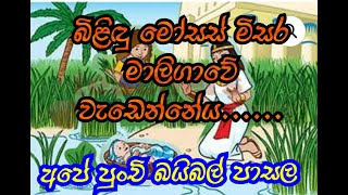 පුංචි අපේ බයිබල් පාසල,  බයිබල කතාන්දර 15 කොටස ක්‍රිස්තියානි රෙපරමාදු සභාව