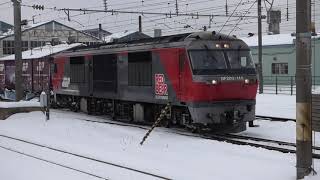 JR貨物　DF200-110貨物列車　RED BEAR　五稜郭駅