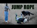 Learning Jump Rope Tricks