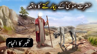 Hazrat Musa as Ke Bimaar Kutte Ka Waqiya | Islamic Stories | Islamic LifeCycle