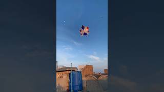 Flying Biggest kite 😍 | kite fight | #shorts #patang #patangbazi #kite #kiteflying