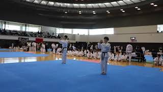 第24回東海大会　型　成年部　男子　緑帯（決勝）／24th Tokai Championship in Japan TUL Senior Male Green belt FINAL【ITFテコンドー】