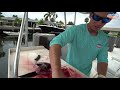 how to fillet whole blackfin tuna