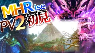 【MHRise】想定外の展開に感極まって大発狂。\