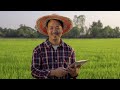 introducing the cgiar nutrition impact platform