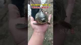 10月30日，天津。男子池塘撈出“真空腹”魚，大肚凹陷成空殼仍活蹦亂跳。（四川觀察、二才專供放釣魚）