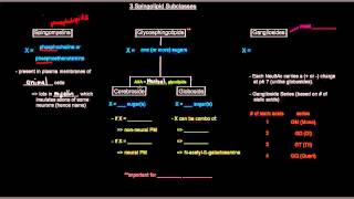 Lipids (Part 9 of 11) - Membrane Lipids - Sphingolipids