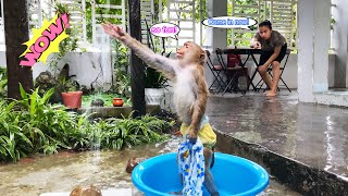 So naughty... Monkey Lyly plays happily in the rain and acts up when her skirt gets dirty.