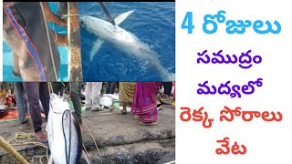 #🐠 4 రోజులు సముద్రం  మద్యలో రెక్క సొరలు వేట # /4 days In the middle of the ocean  tona fish hunting