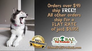 buy dog food online Discount Pet Supplies with Free Shipping buy dog food online