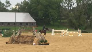 $7500 Covert Farm Jumper Derby Jump Off - Andrew Ross/ Cornet’s Cobalt