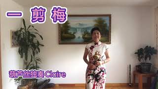 葫芦丝独奏 《一剪梅  》Claire Wang