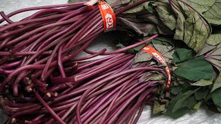 This is how to cook sweet potato stems.