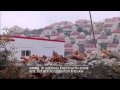 Inside Story - Israeli apartheid week