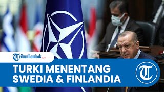 Turki Keberatan atas Swedia dan Finlandia yang Ingin Bergabung dengan NATO, Begini Tanggapan Erdogan