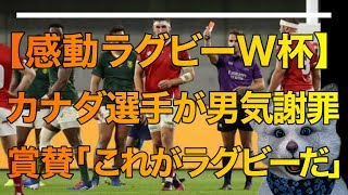 【ラグビーW杯】“男気謝罪” に広がる感動