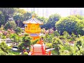 NAN LIAN GARDEN DIAMOND HILL HONGKONG #short