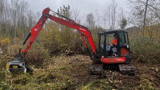 Broyage dans un marais avec mini pelle 5t long reach