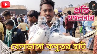 বেলডাঙ্গা বিখ্যাত কবুতরের হাট Beldanga is the famous pigeon market