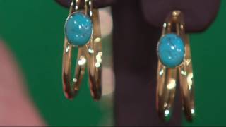 Italian Gold Gemstone Hoop Earrings 14K Gold on QVC