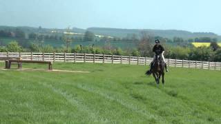 Piggy French – Preparing your horse for the cross-country phase