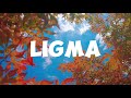 Drake - Ligma (Lyrics) (Kendrick Lamar Diss)