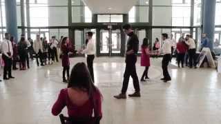 Mock Shaadi Flash Mob Proposal (University at Buffalo) *Fake*