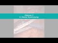 glubran 2 in sleeve gastrectomy