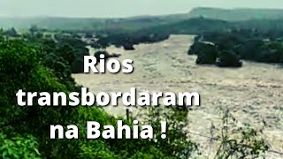 Os rios na Bahia estão transbordando com as fortes chuvas!