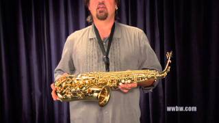 Allora AAAS-301 Student Alto Saxophone