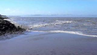 Tsunami in San Francisco Bay, March 11, 2011