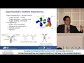 bispecific antibodies for t‐cell redirection therapy